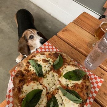 Bravery Brewing - Meet the brewery dog, Watson! - Breweries Near Me - Lancaster, California
