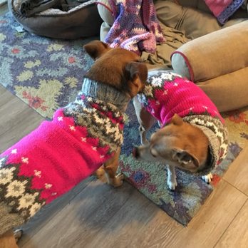 Pups of Lewes - Pet Stores Near Me - Lewes, Delaware Pups of Lewes - Pet Stores Near Me - Lewes, Delaware