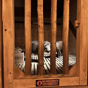 Ark Encounter - Museums Near Me - Williamstown, Kentucky