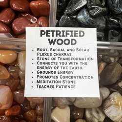 Auracle World Of Crystals - Petrified rocks