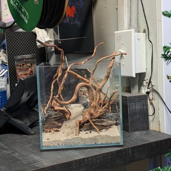 Fish Mania - Pet Stores Near Me - Chattanooga, Tennessee Fish Mania - Pet Stores Near Me - Chattanooga, Tennessee