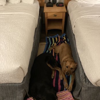 Seaway Inn - $100 dog bed. - Hotels Near Me - Santa Cruz, California
