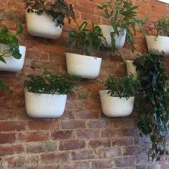 Native Bagel Company - Cute decor. - Bagels Near Me - Berea, Kentucky Native Bagel Company - Cute decor. - Bagels Near Me - Berea, Kentucky
