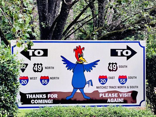 Mississippi Petrified Forest by null