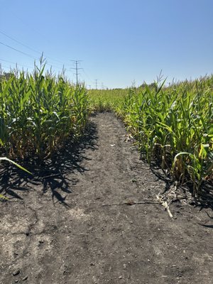 Jerry Smith Pumpkin Farm by null