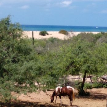 Rancho Carisuva - Horseback Riding Near Me - Cabo San Lucas, BCS Rancho Carisuva - Horseback Riding Near Me - Cabo San Lucas, BCS