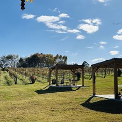 Hidden Vineyard
