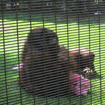 Honolulu Zoo - Zoos Near Me - Honolulu, Hawaii