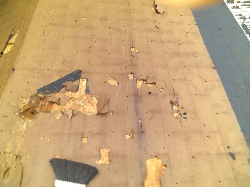 Slide of MV Roofing And Tree Services