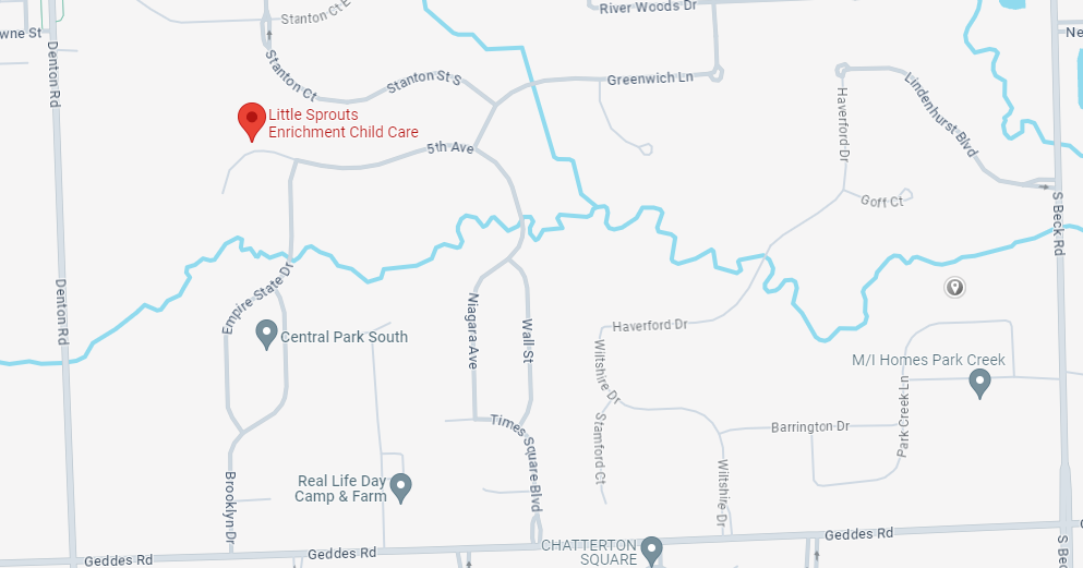 Little Sprouts Enrichment Child Care - childcare center in Canton, MI