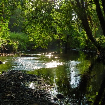 Tolka Valley Park - A year in the life of Tolka River Valley Park - Parks Near Me - Dublin, D Tolka Valley Park - A year in the life of Tolka River Valley Park - Parks Near Me - Dublin, D