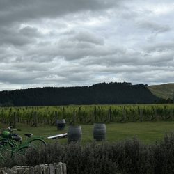Moy Hall Wines - Winery