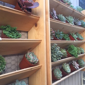 All Good Things - Personal Shopping Near Me - San Marcos, California