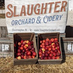 Slaughter Orchard & Cidery