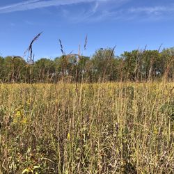 Bear Creek Park - Bear Creek Park