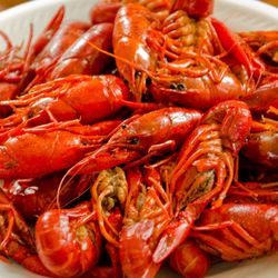 Bon Orient Buffet - Crawfish