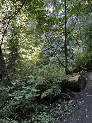 Schmitz Preserve Park by null