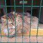 Photo of ZOO Park Vyškov