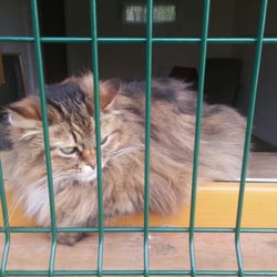 ZOO Park Vyškov