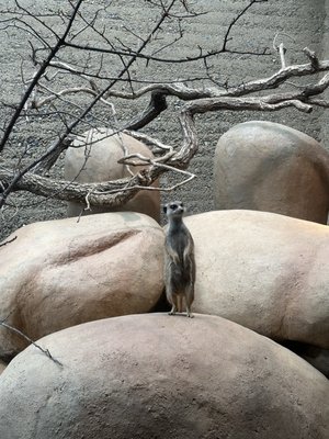 Zoo Basel by null