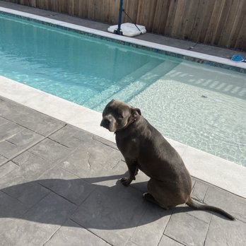 Premier Pools & Spas - Pool & Hot Tub Service Near Me - Vacaville, California Premier Pools & Spas - Pool & Hot Tub Service Near Me - Vacaville, California