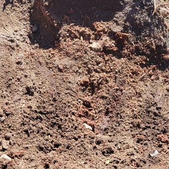 Performance Tree Service - Stump - Tree Services Near Me