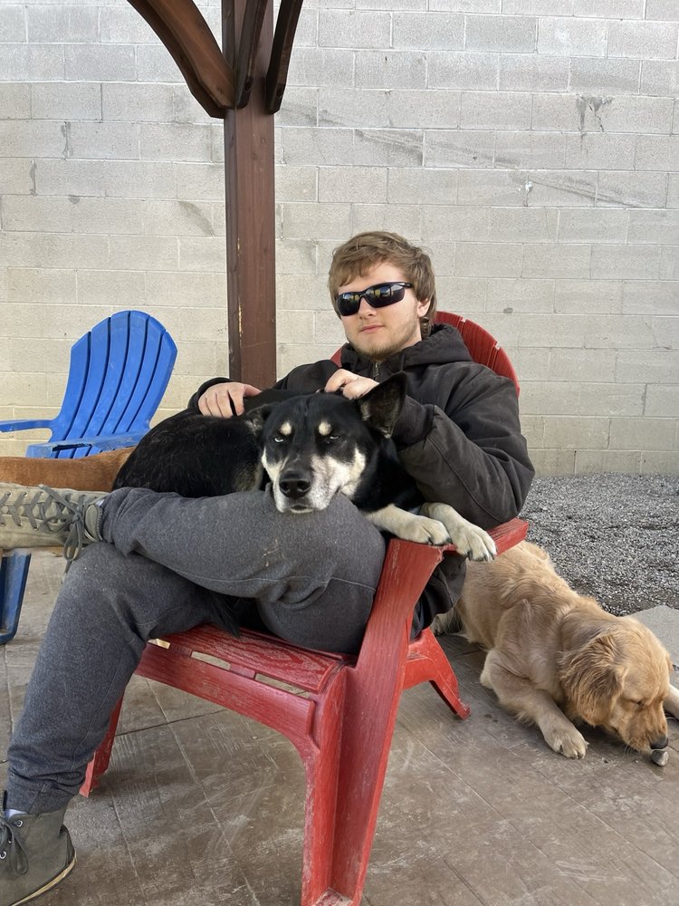 The Doggy Den - pet boarding facility in Columbus, OH