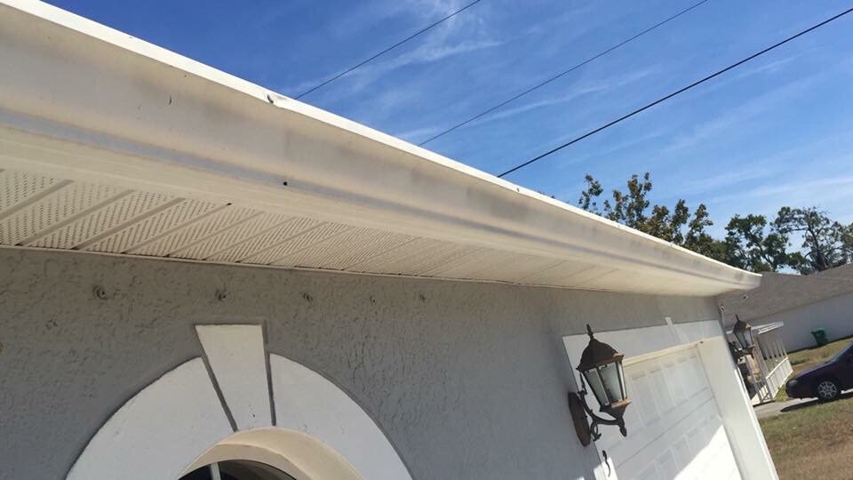 Slide of Rhyne Restoration