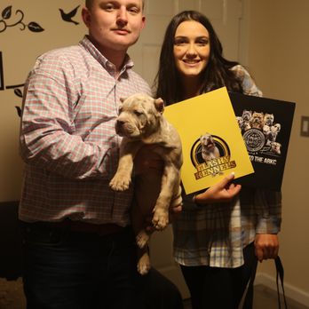 Flashy Kennels - Pet Breeders Near Me - Chicago, Illinois