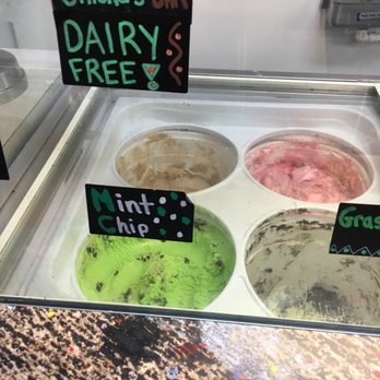 Froyo Fresh - Ice Cream & Frozen Yogurt Near Me - Tampa, Florida