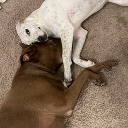 Bubb and SUKI Bubb and SUKI