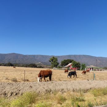 Salinas Valley Half Marathon - Races & Competitions Near Me - Soledad, California Salinas Valley Half Marathon - Races & Competitions Near Me - Soledad, California