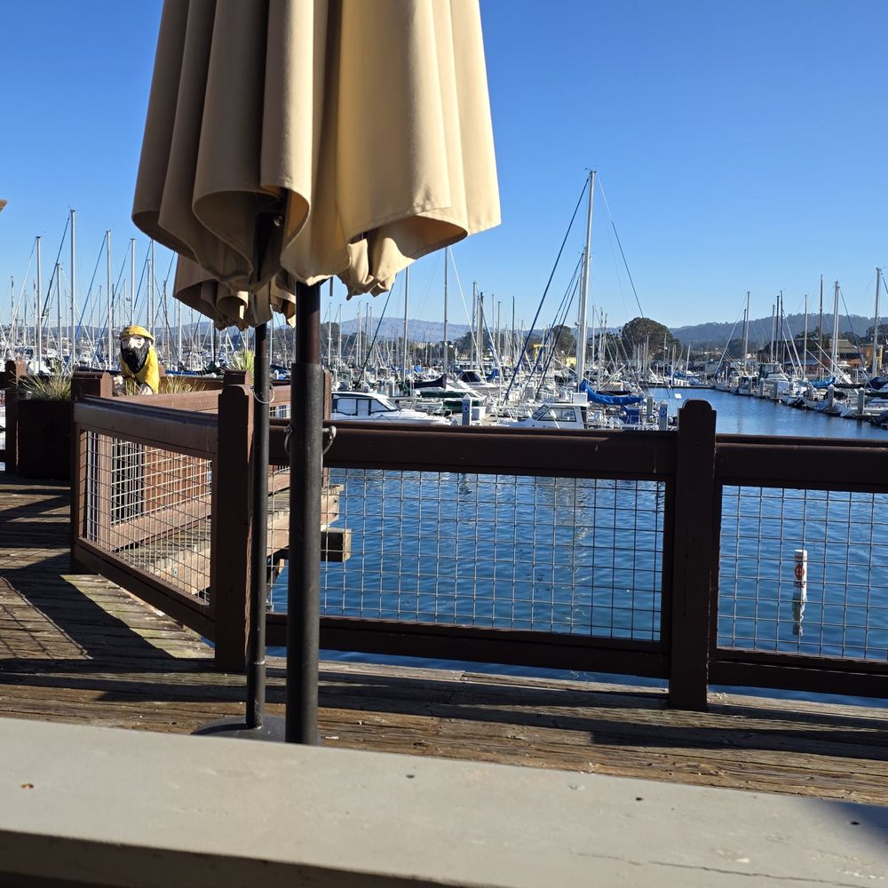 Paluca Trattoria - Marina View - Italian Near Me - Monterey, California Paluca Trattoria - Marina View - Italian Near Me - Monterey, California