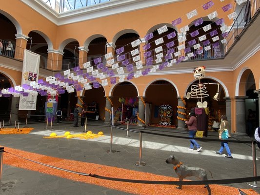 Biblioteca Palafoxiana by null