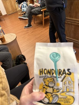 Blue Brown Cafe by null