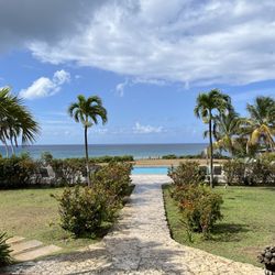Carambola - Restaurant views