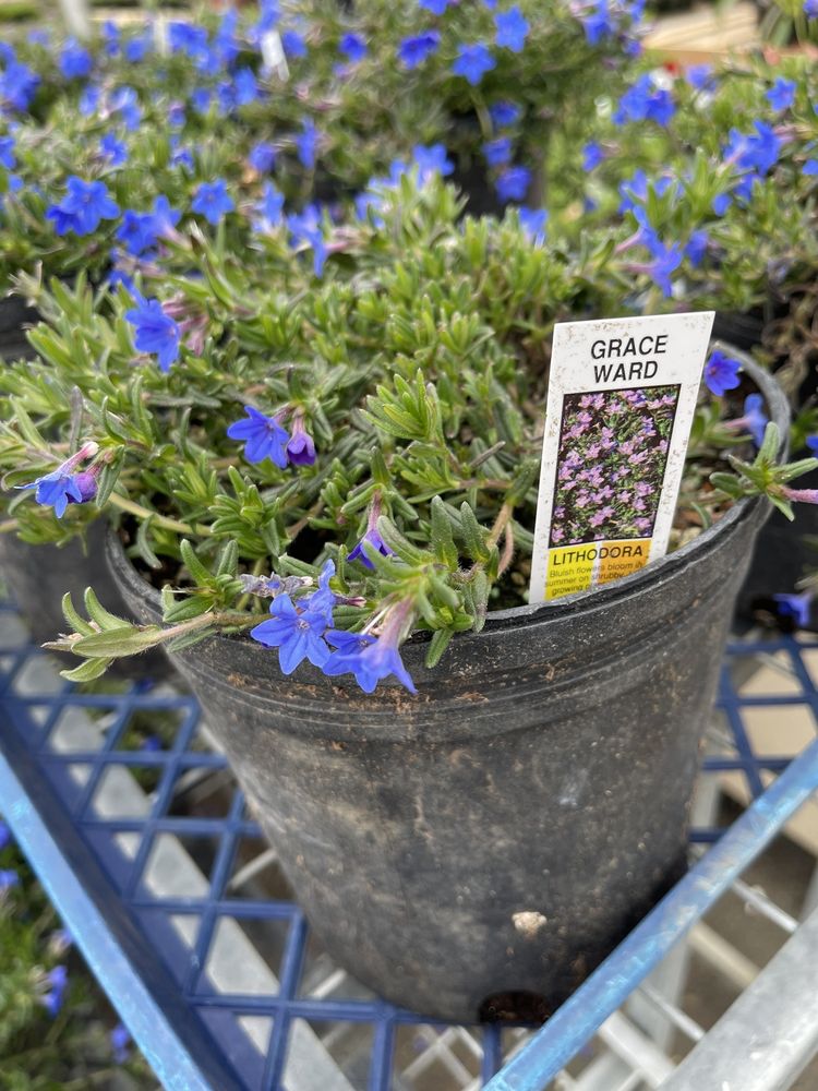 ROSEBURG OR WAREHOUSE visual data 3