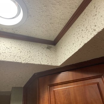 My Cleaning Angel - Cobwebs in kitchen - Home Cleaning Near Me - Tampa, Florida My Cleaning Angel - Cobwebs in kitchen - Home Cleaning Near Me - Tampa, Florida