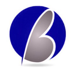 Belle Business Services