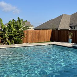 Century Oasis Pool and Spa - Sun tanning ledge and entry