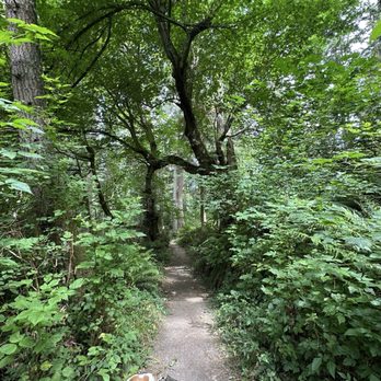South Whidbey State Park - Parks Near Me - Freeland, Washington