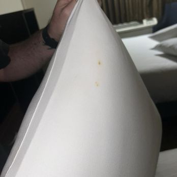 Peppertree Inn - Disgusting pillow stains - Hotels Near Me - Beaverton, Oregon Peppertree Inn - Disgusting pillow stains - Hotels Near Me - Beaverton, Oregon