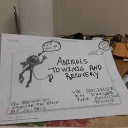 Animals Towing and Recovery