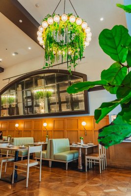 Cafe Fig by null