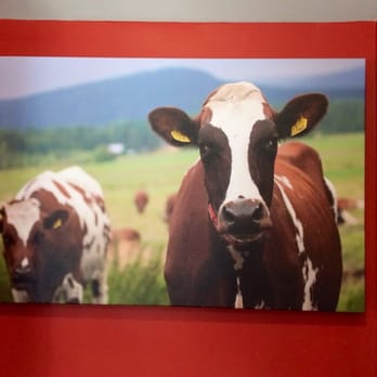Red Cow St. Paul - Burgers Near Me - St Paul, Minnesota Red Cow St. Paul - Burgers Near Me - St Paul, Minnesota