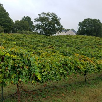 Treehouse Vineyards - Vinyard - Venues & Event Spaces Near Me - Monroe, North Carolina