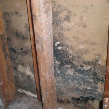 Mold Fighter - water damage restoration orange county.
Contact Moldfighter Call (949) 735-7384 - Environmental Testing Near Me - Irvine, California Mold Fighter - water damage restoration orange county.
Contact Moldfighter Call (949) 735-7384 - Environmental Testing Near Me - Irvine, California