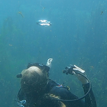 Scott Cameron Scuba - Scuba Diving Near Me Scott Cameron Scuba - Scuba Diving Near Me