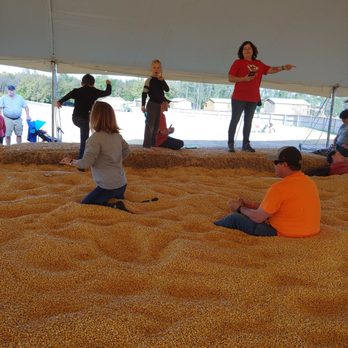 Fun Farm Pumpkin Patch - The corn pit was awesome. - Attraction Farms Near Me - Kearney, Missouri Fun Farm Pumpkin Patch - The corn pit was awesome. - Attraction Farms Near Me - Kearney, Missouri