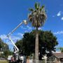 Thrifty Tree Service